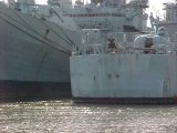 Horne in Suisun